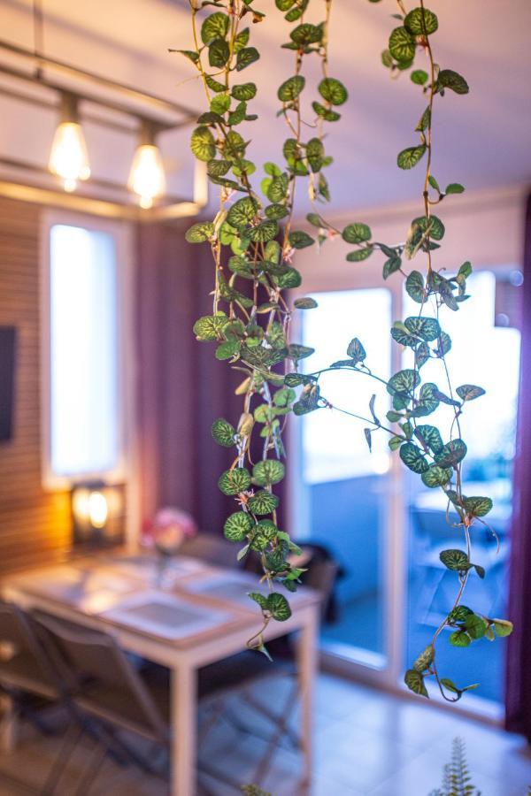 Superbe Appartement - Terrasses - Clim - Parking Prepaye La Valette-du-Var Exterior photo